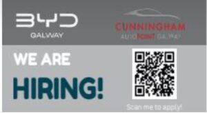 Capture 18 | Classifieds | Advertiser.ie Classifieds