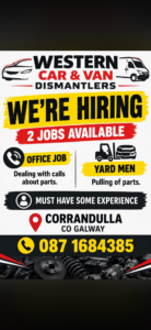 IMG 5246 | Classifieds | Advertiser.ie Classifieds