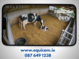 phone ad | Classifieds | Advertiser.ie Classifieds
